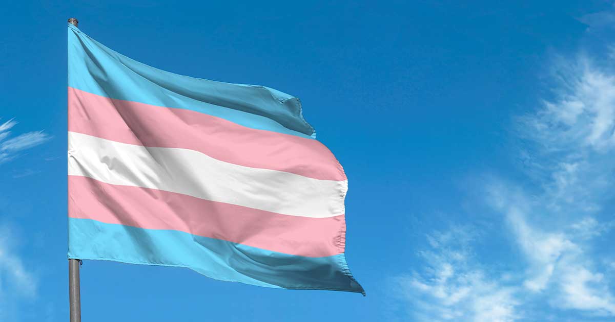 Trans flag flying